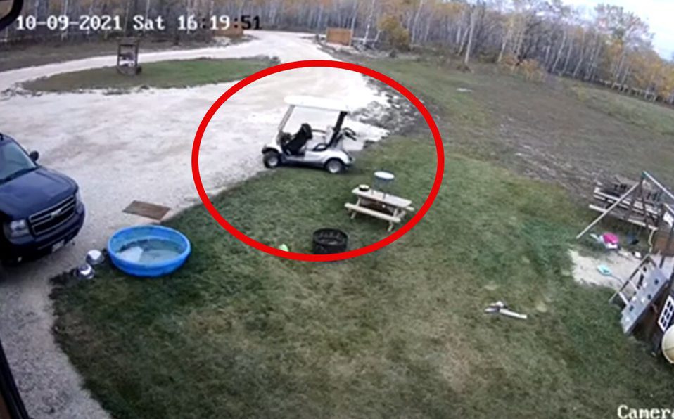 Perro choca carrito de golf contra auto de sus dueños y se vuelve viral