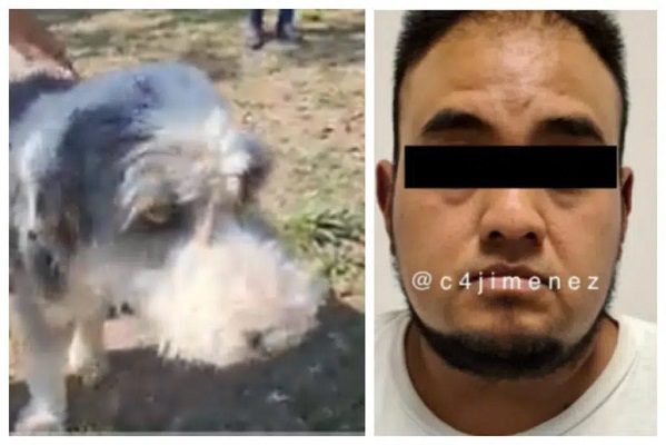 Alertan falta de seguridad de perro implicado en caso de abuso en Tláhuac
