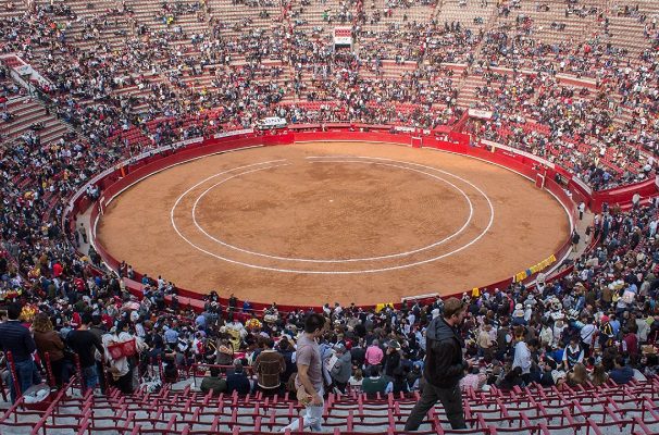 Aprueban en comisiones prohibición de corridas de toros en CDMX