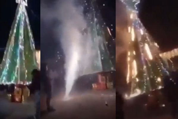 Durante encendido, se incendia árbol de Navidad en comunidad de Tula #VIDEO