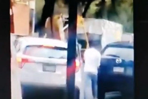 "¡Vengan a ver a la rata!": captan en #VIDEO a ladrón en pleno robo
