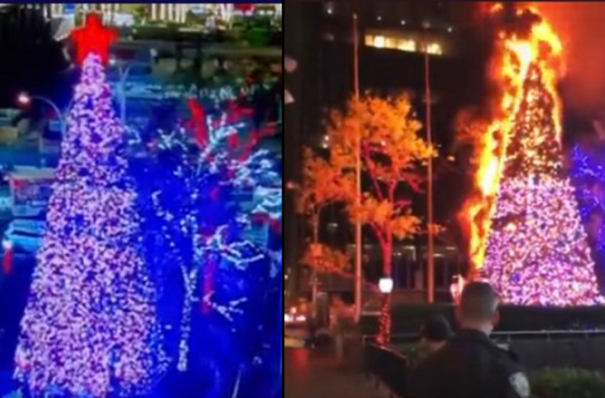 En plena transmisión, hombre prende fuego a árbol de Navidad de Fox News #VIDEO