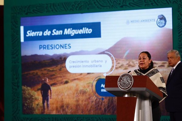 AMLO anuncia Sembrando Vida en SLP para reforestar Sierra de San Miguelito