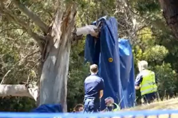 Cinco niños mueren tras caer de castillo inflable alzado por el viento, en Australia