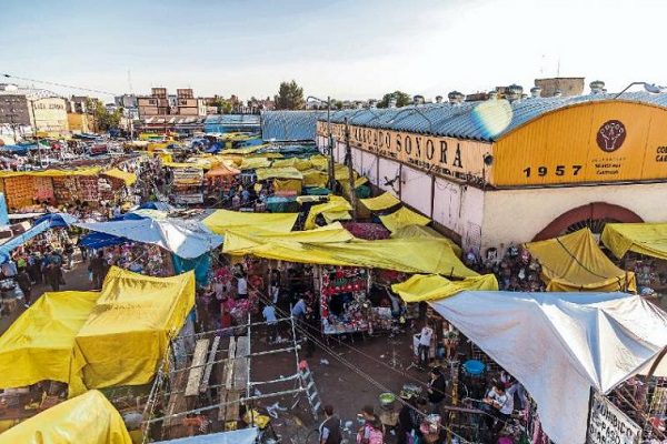 Van por prohibir venta de animales vivos en tianguis y mercados en CDMX