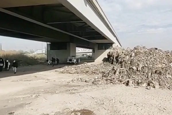 Buscadoras localizan restos humanos en zona de Ecatepec