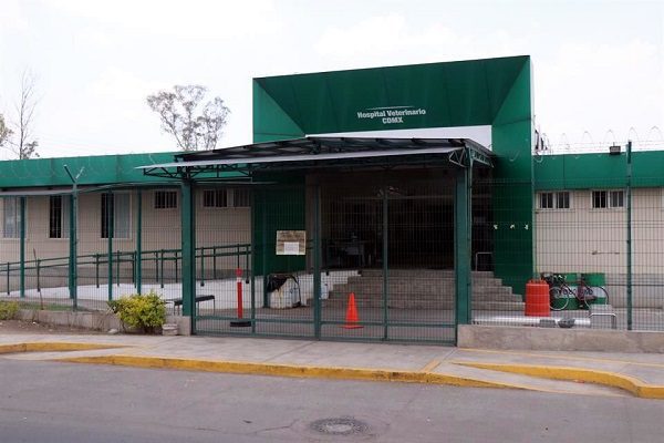 Tras un año cerrado por la pandemia, reabre Hospital Veterinario en Iztapalapa