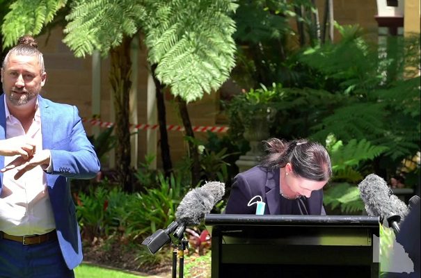 Enorme araña interrumpe conferencia de prensa covid en Australia #VIDEO