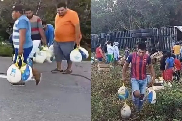 ¡Rapiña navideña! Se vuelca tráiler de pavos en carretera de Campeche #VIDEO