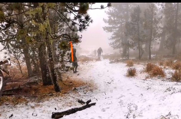 Cae la primera nevada de temporada en Nuevo León