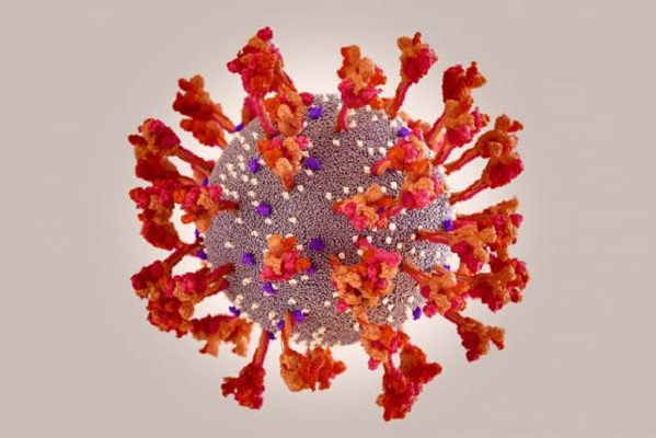 OMS confirma que vacunados y recuperados pueden infectarse de Ómicron