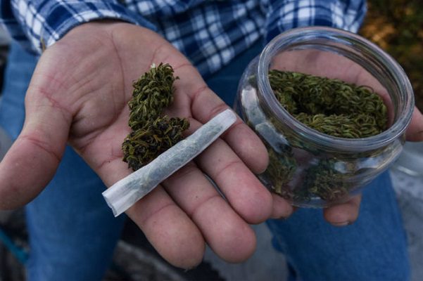 Senado pospone aprobación de ley que regula uso lúdico de la mariguana
