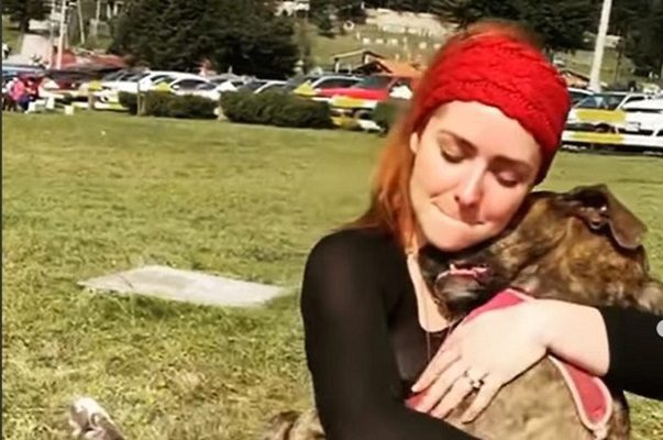 Un cocodrilo devoró a la perrita de la actriz Ariadne Díaz, en Puerto Vallarta