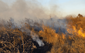 Registran incendio en franja del Bordo de Xochiaca