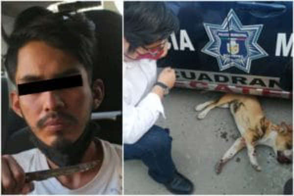 Detienen a Alberto “N”, sujeto que hizo explotar pirotecnia en hocico de perrito