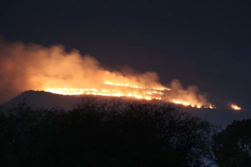 Incendio en Sierra de San Miguelito, SLP