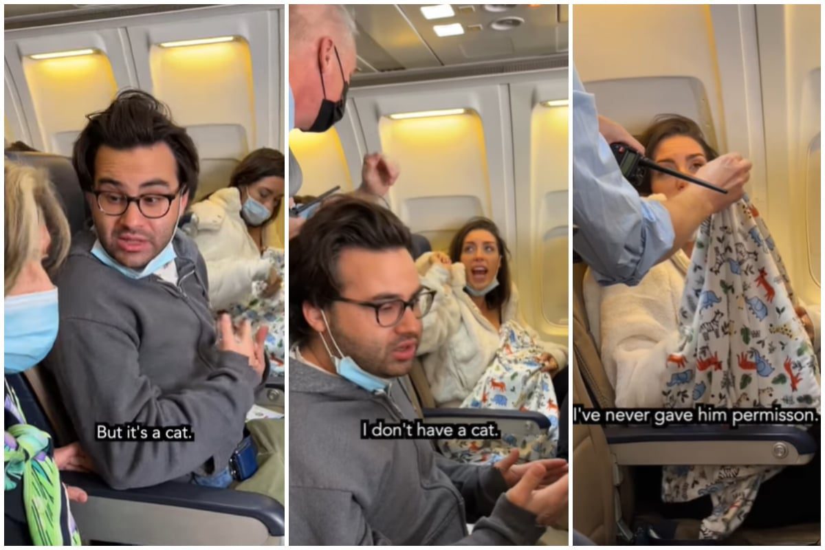Mujer sube animal a un vuelo y dice que es su bebé