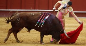 Plaza México condena prohibición de corridas de toros