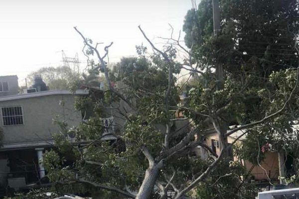 193 mil usuarios se quedan sin luz en Tamaulipas y Veracruz por frente frío