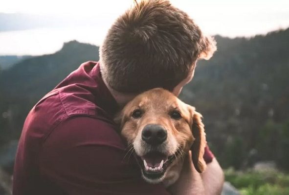 España aprueba que divorciados compartan custodia de mascotas