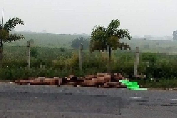Abandonan ocho cuerpos en autopista a Ciudad Isla, Veracruz