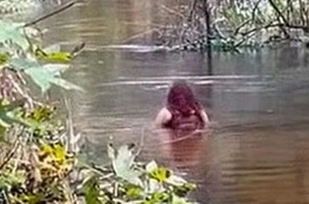 Filman a mujer desaparecida nadando en aguas con acceso a caimanes, en Florida