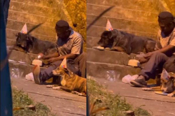 Hombre en situación de calle celebra cumpleaños de sus perritos #VIDEO