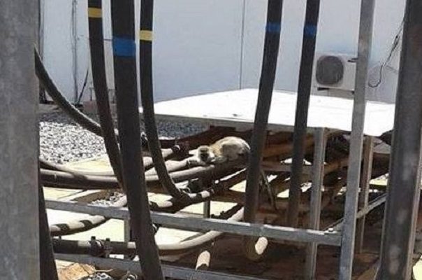 Kenia sufre apagón nacional por colapso de línea de transmisión