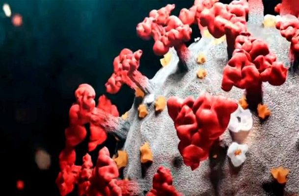 UNAM advierte que Ómicron es tan transmisible como el sarampión