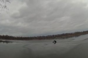 Policía rescata a perrita que cayó en un lago congelado #VIDEO