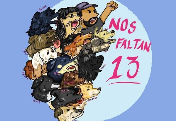 Secuestran a 13 perritos de un refugio de animales maltratados, en Hidalgo