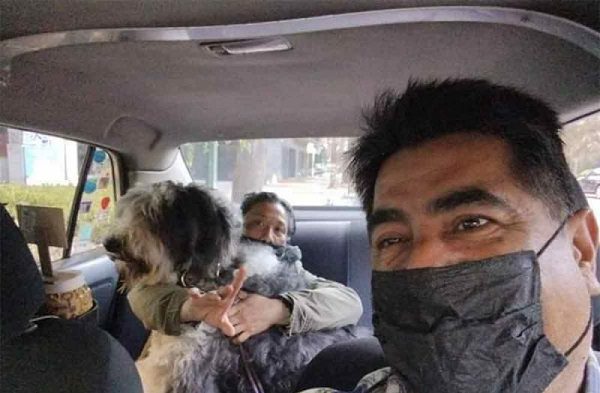 Taxista se viralizan por llevar a mascotas en CDMX