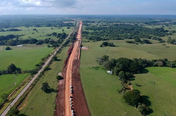 Fonatur asegura que no hubo tala de 20 mil árboles por Tren Maya