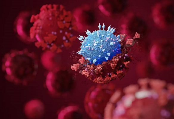 OMS recomienda dar prioridad a investigaciones de subvariante de ómicron