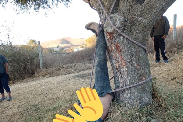 Golpean y atan a un árbol a presunto ladrón en Oaxaca