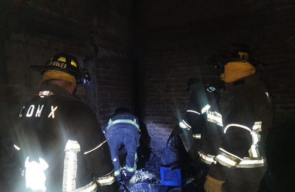 Mueren diez perritos en incendio de albergue animal en la Venustiano Carranza