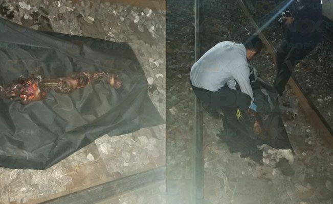 Brazo humano hallado en Tamaulipas