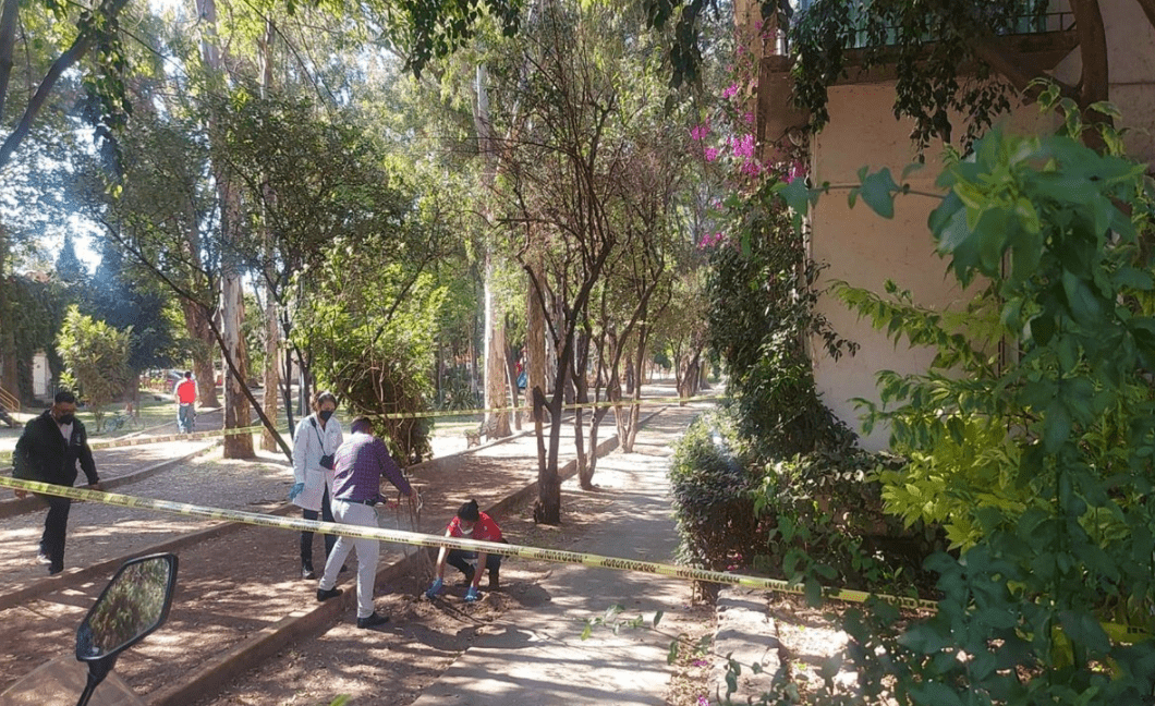 Hallan cráneo enterrado en vía pública en Tlalpan