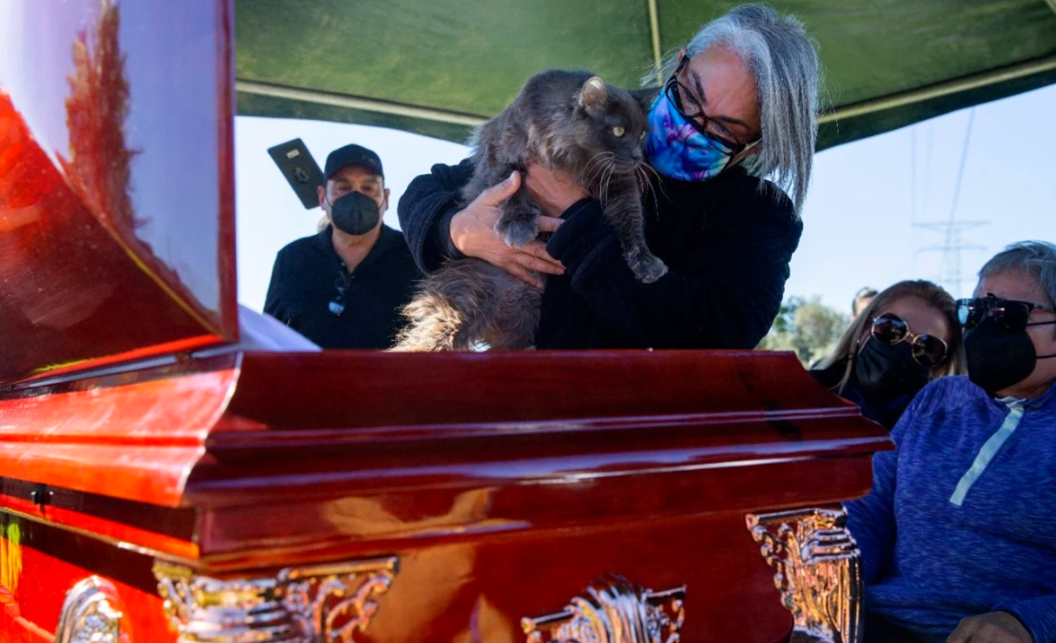 Dan último adiós a Lourdes Maldonado sus fieles mascotas, familiares, y amigos