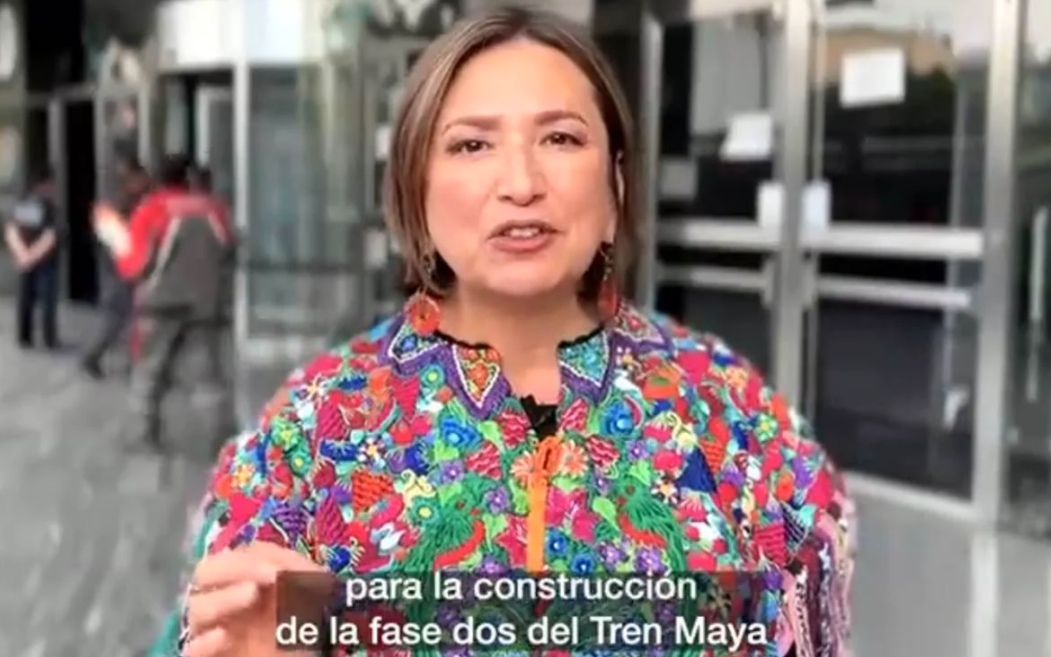 Xóchitl Gálvez denuncia tala de 20 mil árboles ante FGR por Tren Maya