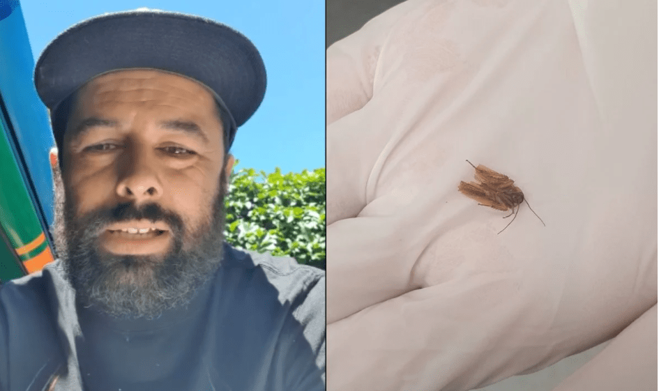 Va al médico por dolor en el oído y ¡le retiran cucaracha!