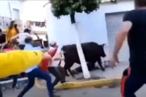 En España, hombre muere por cornada de toro en festival de Año Nuevo #FUERTE VIDEO
