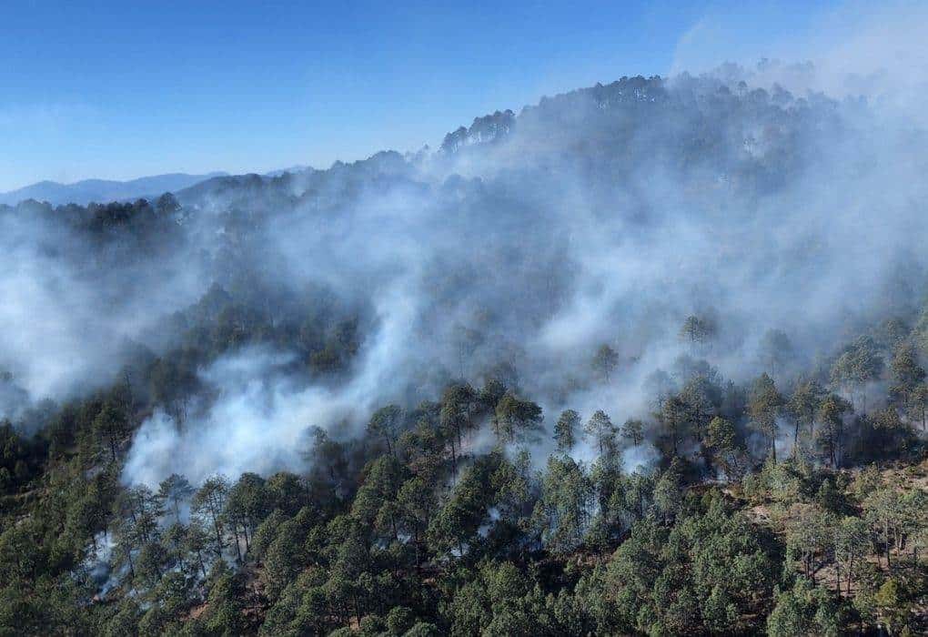 Incendio forestal en Galeana, Nuevo León