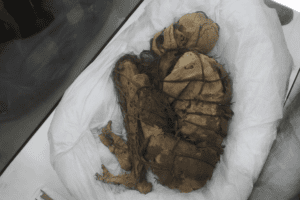 Descubren en Perú una momia de mil años en una tumba subterránea