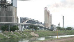 Peces «dañan» termoeléctrica en Guerrero; vecinos demandan ecocidio