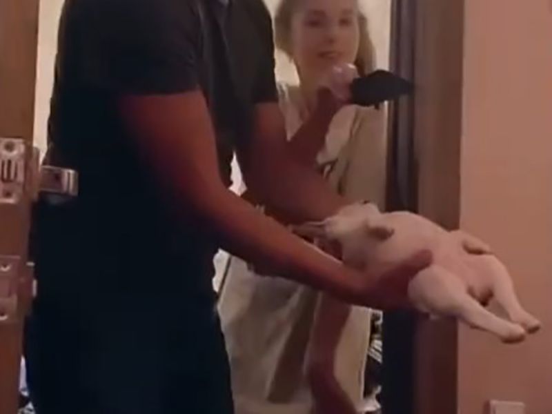 Perrita se hace la muerta para que no le despierten