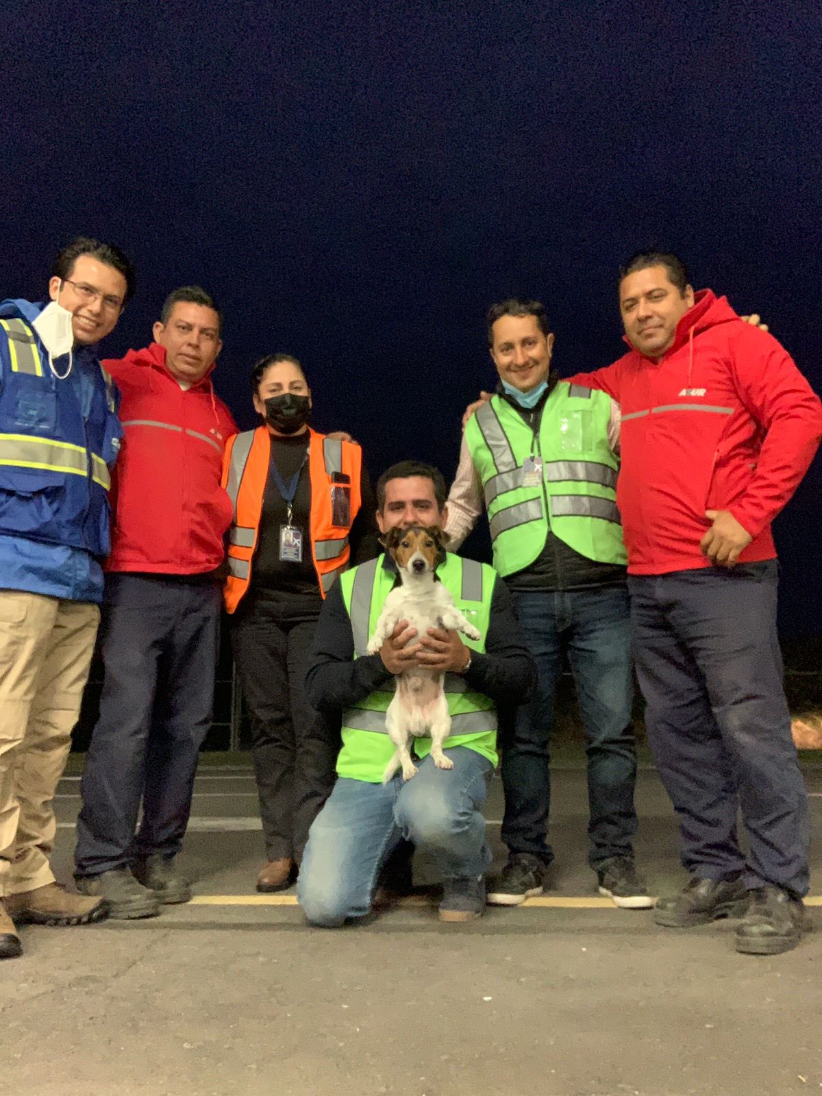 Recuperan a «Max», el perrito extraviado en vuelo de VivaAerobus