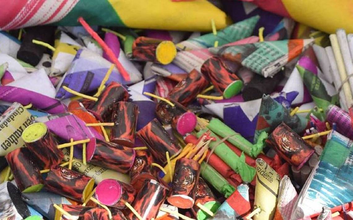 Proponen 6 años de cárcel a quien mate perritos con pirotecnia en CDMX