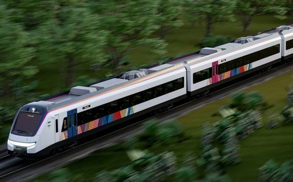 Fonatur niega haber talado 22 mil árboles por paso de Tren Maya