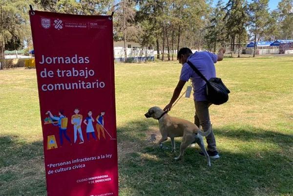 Infractores en CDMX cuidarán animales como parte de trabajo comunitario